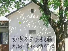 -碧海金沙