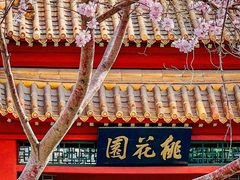 -桃花堤公园