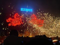 -武汉园博园(武汉自然博物馆)