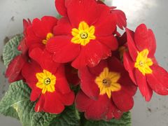 -南通洲际绿博园