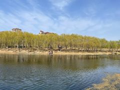 -马家湾湿地公园