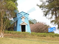 -铁山坪森林公园