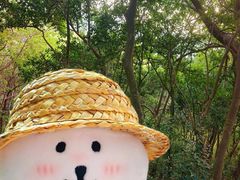 -上海佘山国家森林公园天马山园