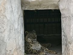 -青藏高原野生动物园