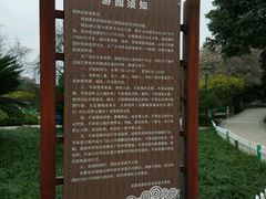 -神仙树公园
