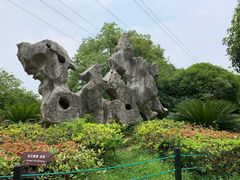 -韩湘水博园