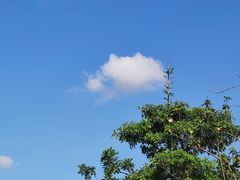 -深圳大学(丽湖校区)