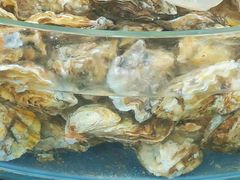 -鑫渔港海鲜本地菜·山海关浑锅(东戴河店)