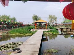 -同銮特种养殖场·龙虾垂钓