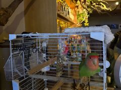 -Bar Infusion(重庆·九街店)