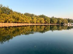 -百脉泉景区