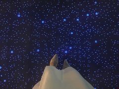 -西北湖绿化广场