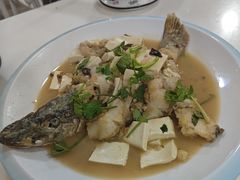 -煲来饱去冷水鱼