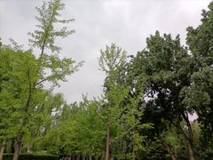 -朝阳公园游乐园