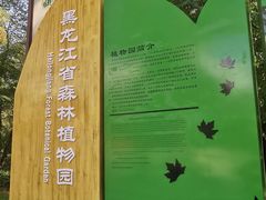 -黑龙江省森林植物园