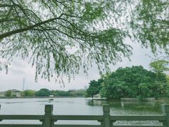 -东山湖公园