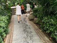 -青城道汤池