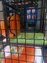 -动力星球家庭亲子游乐中心