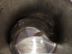 -雲蜀龙阁·金牌水煮鱼(方庄店)