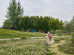 -两河城市森林公园