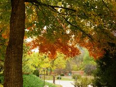 -元大都城垣遗址公园