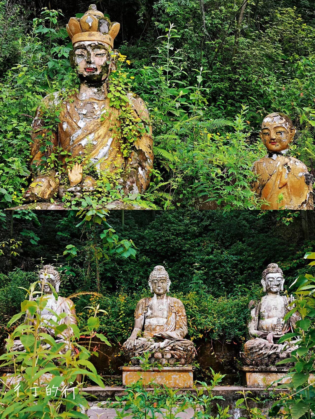 合川海佛寺|天上文曲星,人间水观音