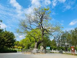 -大望京儿童游乐场