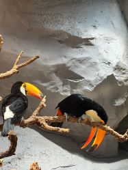 -Zoolung Zoolung动物主题公园(海信广场店)