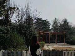 -嵖岈山风景区