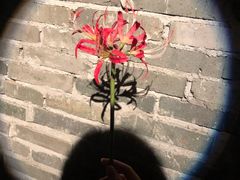 -顶级玩家沉浸式剧场密室(东门店)