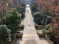 -灵谷景区