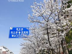 -永乐路-路侧停车场