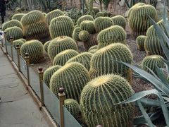 -北京植物园-展览温室