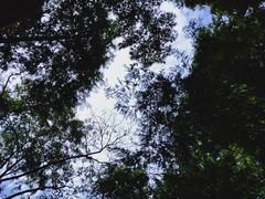 -花水湾第一村温泉大酒店