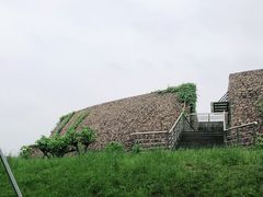 -洋湖国家湿地公园