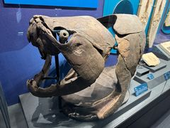 -国家自然博物馆