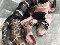-荔城生鲜盛宴(番禺旗舰店)