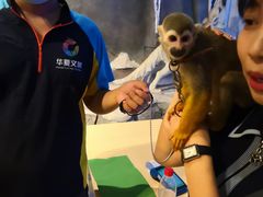 -华夏文旅海洋公园