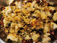 -百岁鱼(望月路店)