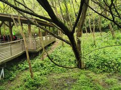 -西湖风景区-江洋畈生态公园