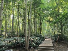 -大蜀山国家森林公园