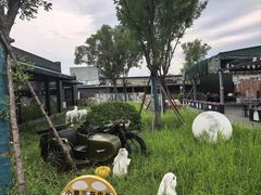 -阳坊胜利涮羊肉(阳坊老店)