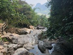 -天门沟九州驿站树上汤泉