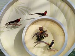 -陕西自然博物馆