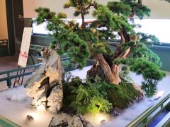 -潮上潮(南中环店)