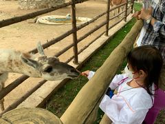 -西安秦岭野生动物园