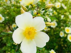 景点-北京西山国家森林公园