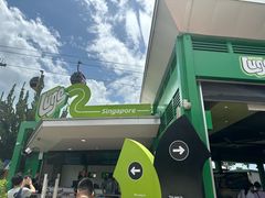 -圣淘沙天际线斜坡滑车