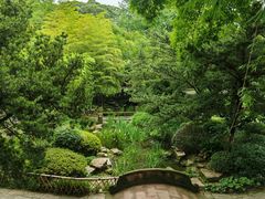 -望江楼公园
