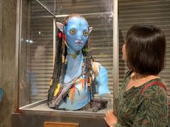 -奥兰多迪士尼动物王国乐园